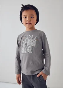 Εναλλακτικό χρώμα