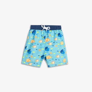 Εναλλακτικό χρώμα