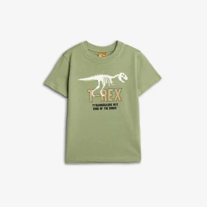 Εναλλακτικό χρώμα