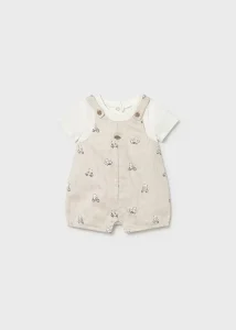 Εναλλακτικό χρώμα