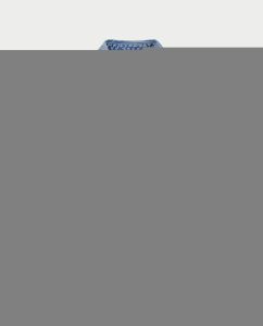 Εναλλακτικό χρώμα